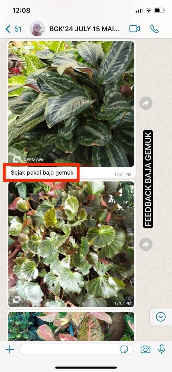 ce74cbad-5fe1-4eaa-9bd2-8cc629703f5c